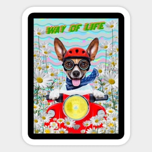 Way Of Life Sticker